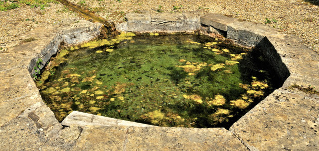 Image of Roman Spring